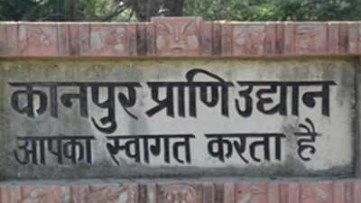 Bird flu scare: Asiatic lion Pataudi dies, Kanpur zoo to remain shut till May 20