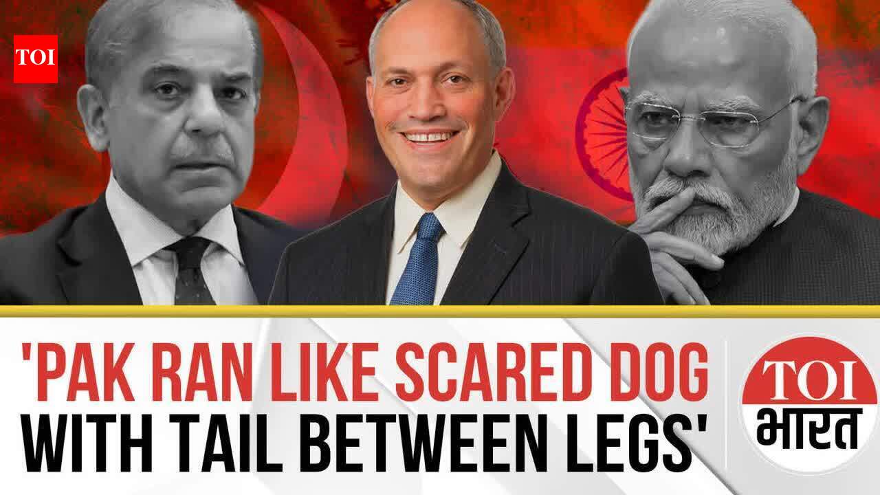 Pakistan Ran Like a Scared Dog With Tail Between Legs, Lost Very Badly ...