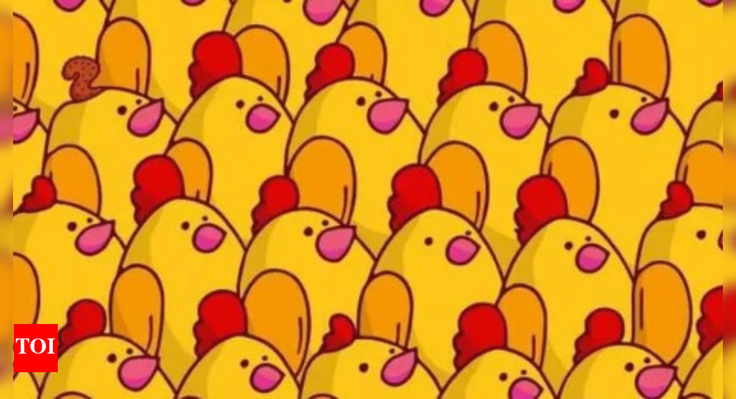착시 : 당신은 숨겨진 다람쥐의 꼬리를 찾을만큼 날카 롭습니다 | – 인도의 시간