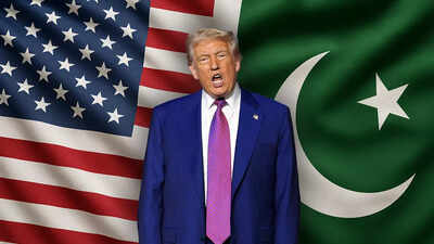 Pakistan offers zero-tariff trade deal to US amidst Donald Trump's big claim on India