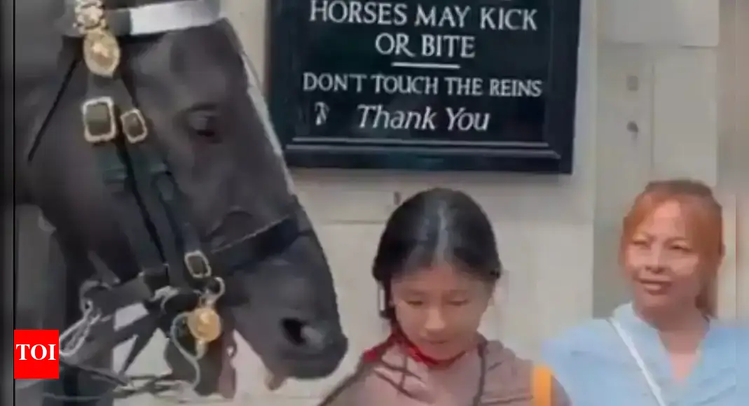 Tourist Learns the Hard Way: King’s Guard Horse Bites Back