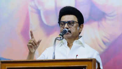 Stalin slams Prez reference on SC deadline on Bills