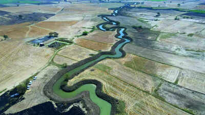 A river again runs through UP’s parched Jalaun