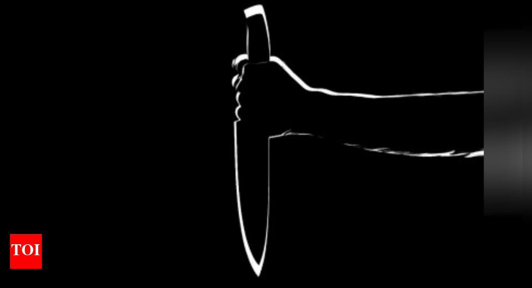 24-year-old from Sudan studying in Punjab killed