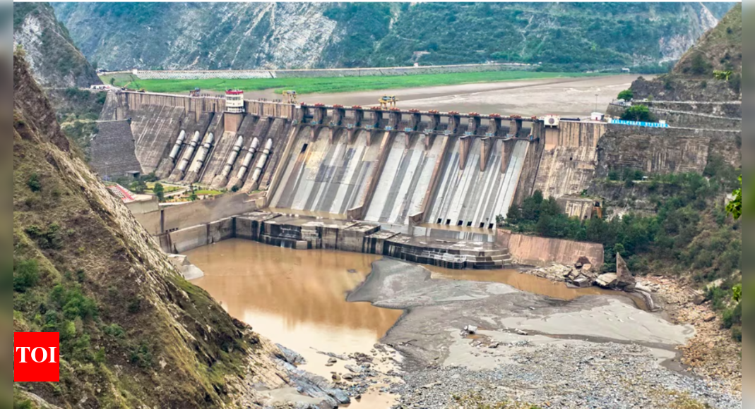 जल युद्ध? भारत सिंधु नदी से पानी को विचलित करने की योजना कैसे बना रहा है, पाकिस्तान को उच्च और सूखा छोड़ दें भारत समाचार