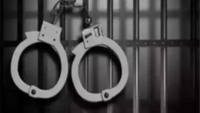 6 member theft gang arrested in Patiala with stolen vehicles and mobiles recovered