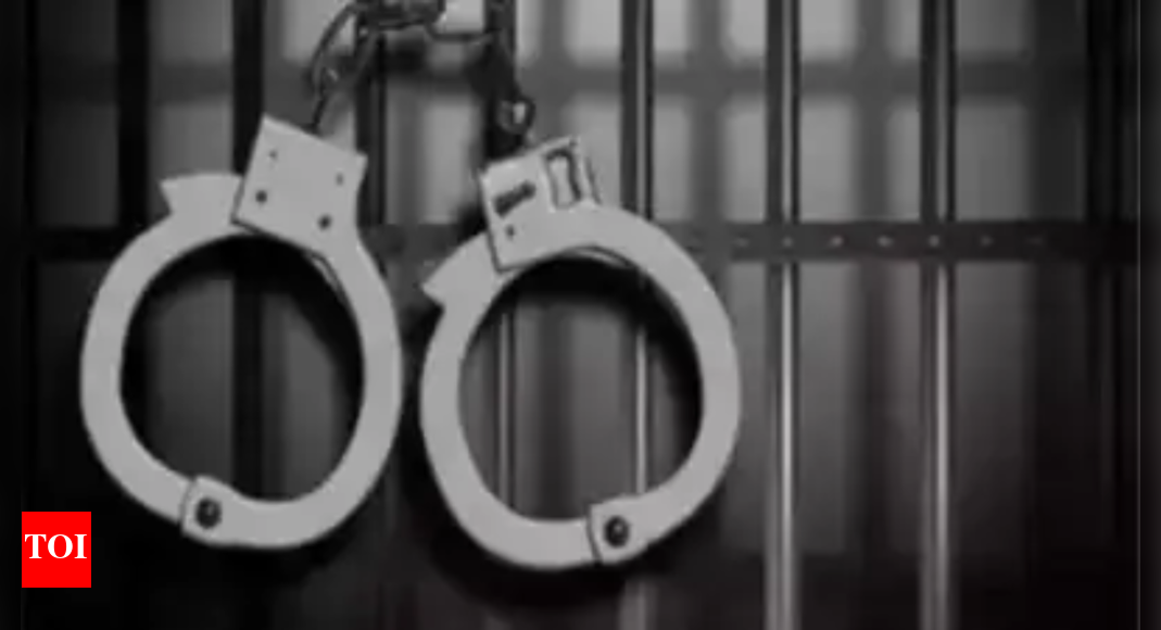Police Arrest 6-Member Theft Gang in Patiala, Recover Stolen Vehicles and Mobiles