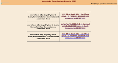 Karnataka 2nd PUC Exam 2 Result announced: Overall pass rate 31.27%, check details for revaluation and exam 3 here – Times of India