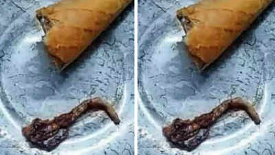 Lizard tail in ice cream cone? Ahmedabad woman's chilling ...