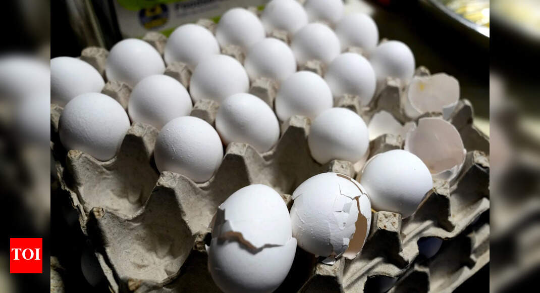 Egg Prices in Goa Drop to Rs 75 per Dozen After Prolonged Highs