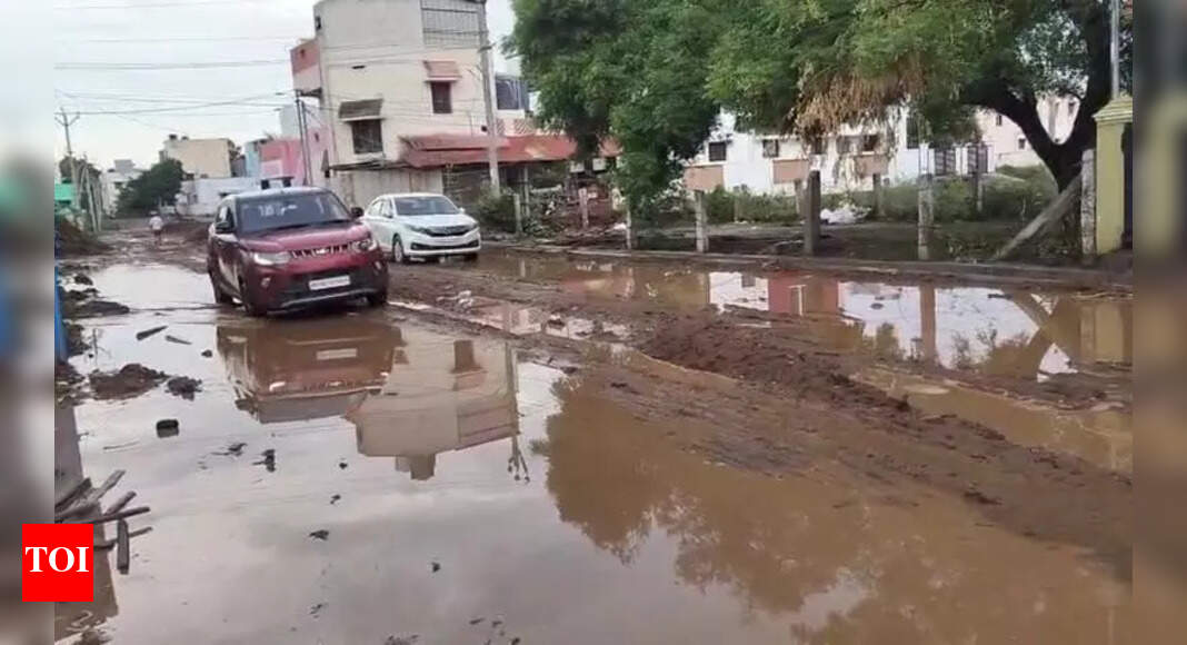 Coimbatore: Infrastructure Projects Face Delays, Causing Problems