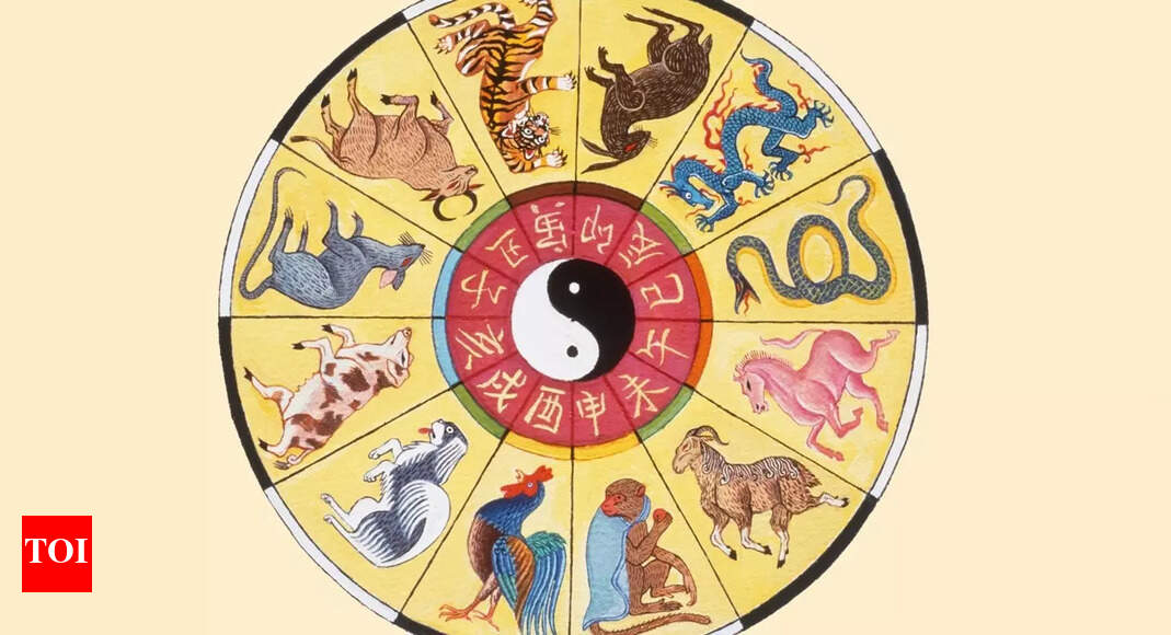 Horoscope Today, May 19, 2025: Daily predictions based on your Chinese zodiac sign