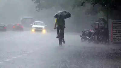 Bengaluru gears up for rain: IMD issues yellow alert for 23 districts in Karnataka