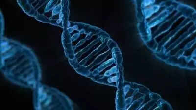 DNA study 'fills gaps' in Indigenous Americans' ancestry