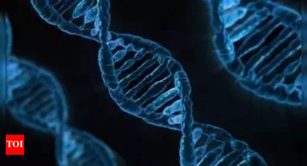 DNA study ‘fills gaps’ in Indigenous Americans’ ancestry | World News – Times of India