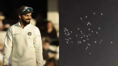 Watch: White pigeons pay tribute to Virat Kohli as rain halts RCB vs KKR clash