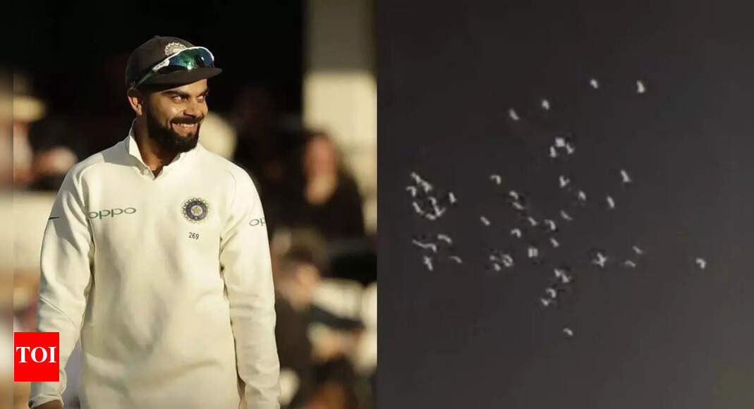 वॉच: व्हाइट कबूतरों ने वीरता कोचली को श्रद्धांजलि दी, क्योंकि KKR क्लैश के खिलाफ बारिश RCB रुकती है क्रिस्टेट समाचार