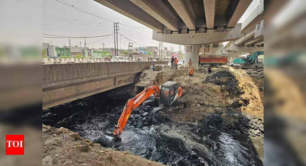 Ludhiana MC Outsources Roads, Seechewal Cleans Buddha Dariya