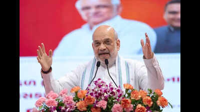 In a first, Indian forces destroyed terror camps 100km inside Pak: Shah