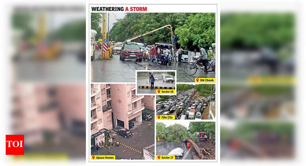 Noida Storm: Trees Down, Cars Crushed in 30-Minute Mayhem