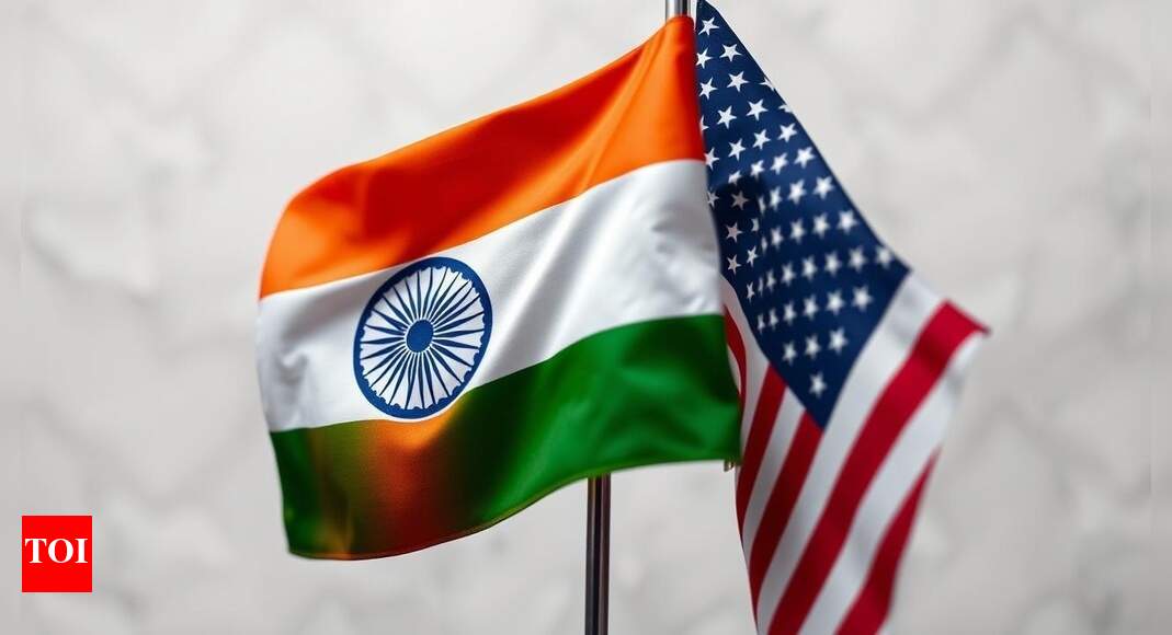 US Embassy in India issues warning of permanent ban on traveling: If you...