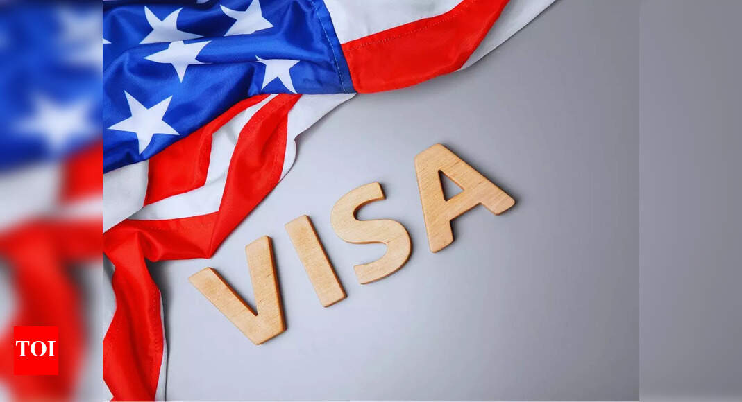 US Embassy India Warns of Permanent US Travel Ban for Overstays