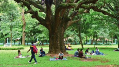 What’s allowed & What’s not in Bengaluru’s Cubbon Park