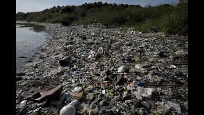 Thane civic body to clear illegal waste dumped along gaimukh creek