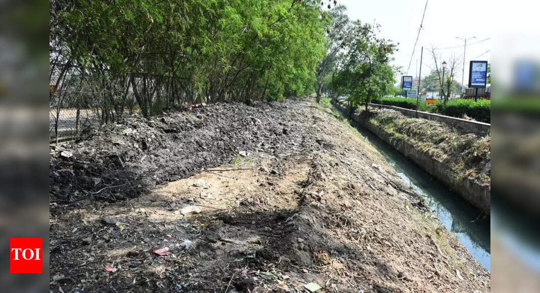 New Road Planned Along Najafgarh Drain to Improve Connectivity