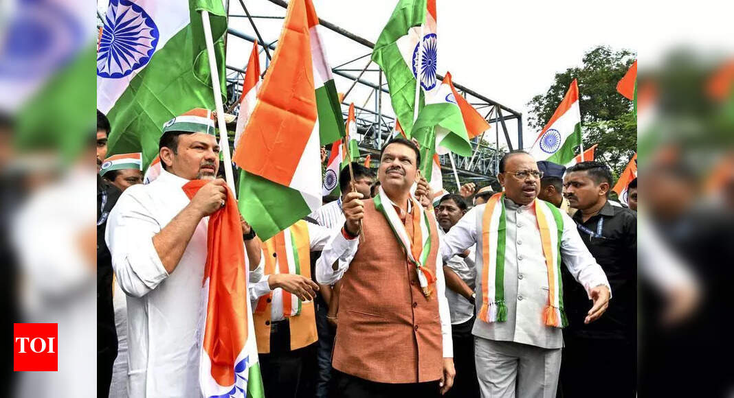 Fadnavis Credits 'Make in India' for Military Success