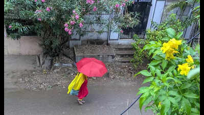 IMD says it’s going to be a rainy, humid day