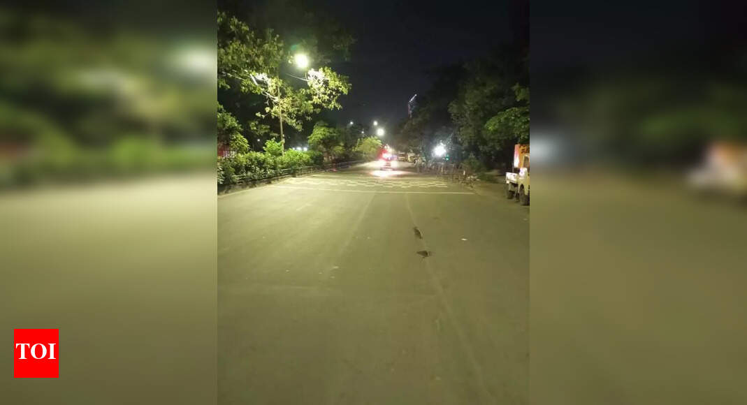 Husband's Speeding Results in Wife's Injury and Baby's Birth