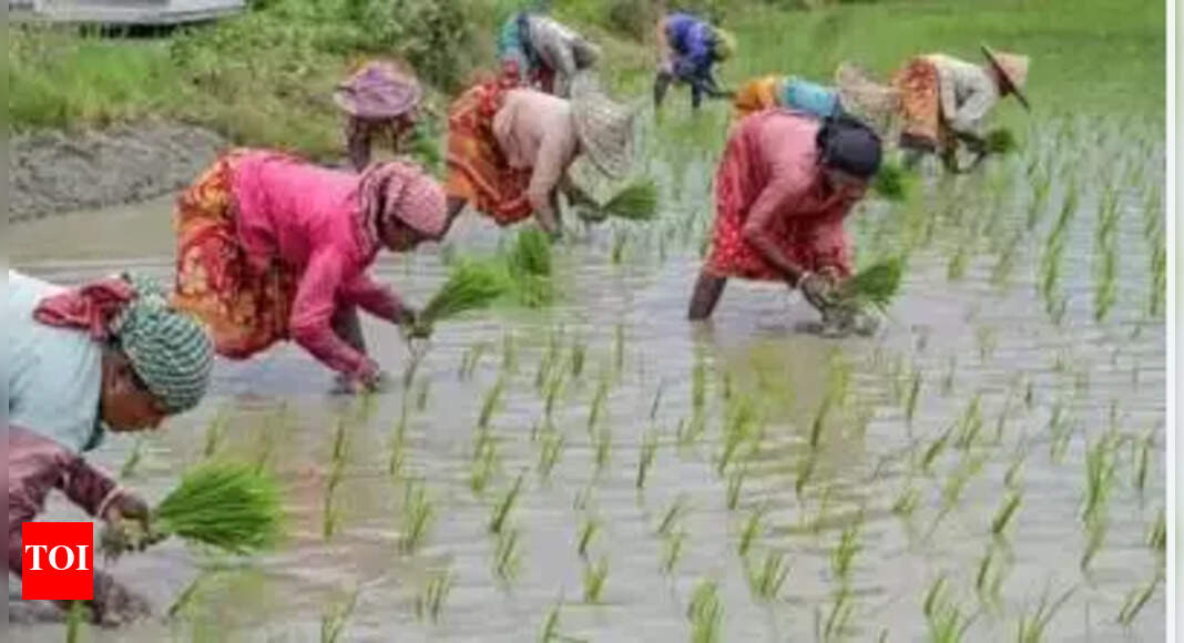 Tamil Nadu Sets ₹9 Lakh Crore Annual Credit Plan for 2025-26