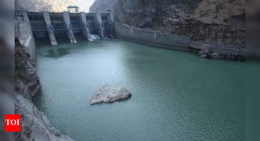 Himachal's Larji Hydropower Project Fully Restored After Floods