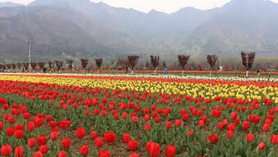 Kolkata travel companies launch ‘Chalo Kashmir’ drive