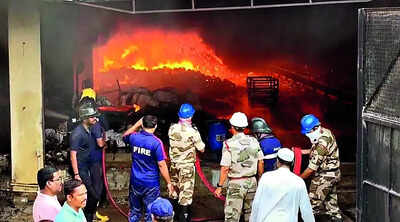 Factory owner, 87, toddler grandson among 8 killed in Maha factory blaze