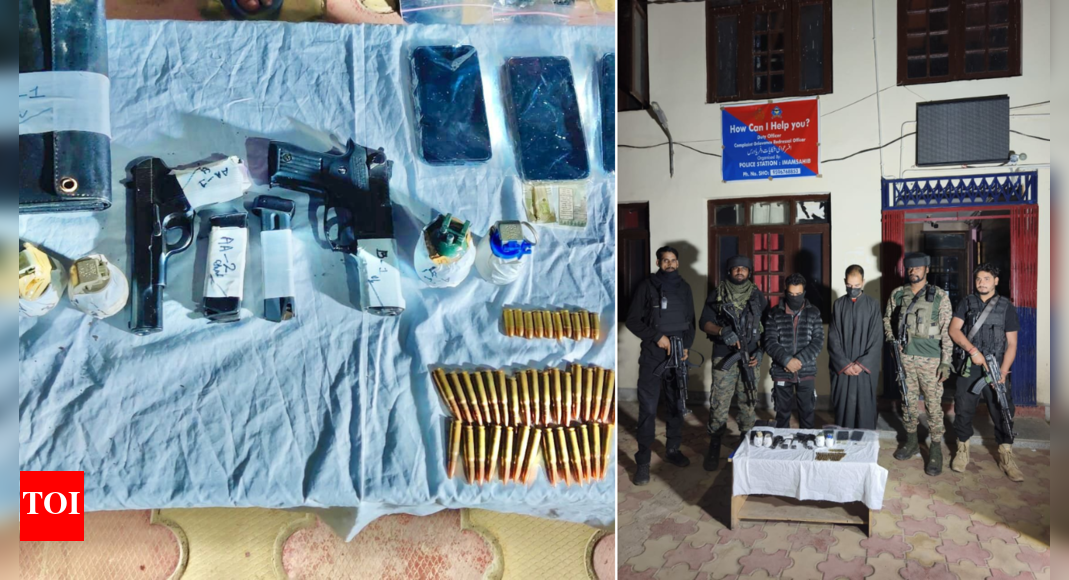 Two terrorist associates arrested in J&K's Shopian; grenades recovered
