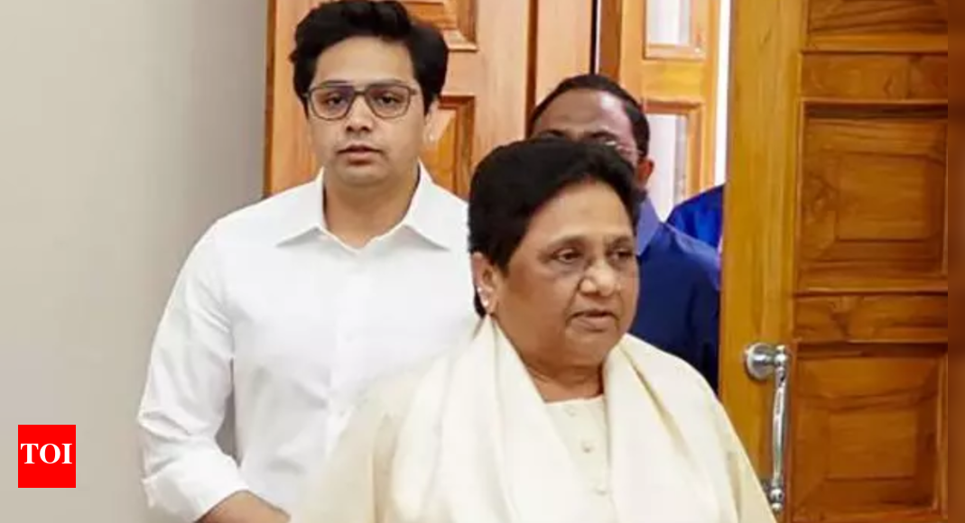 BSP Reorganizes, Akash Anand Oversees New Zones
