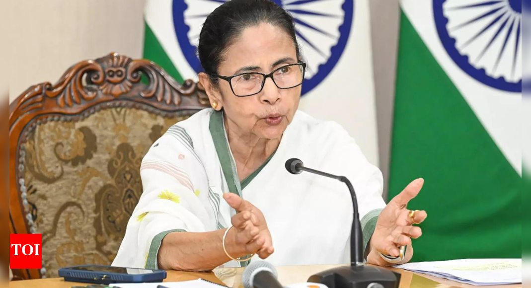 Op Sindoor: Did TMC opt out of Centre's all-party delegation? What Mamata said