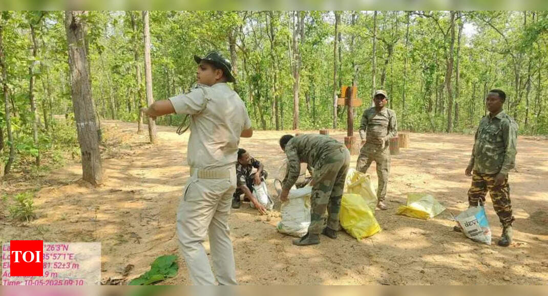 Keonjhar Forest Division Launches Bamboo Reforestation Project