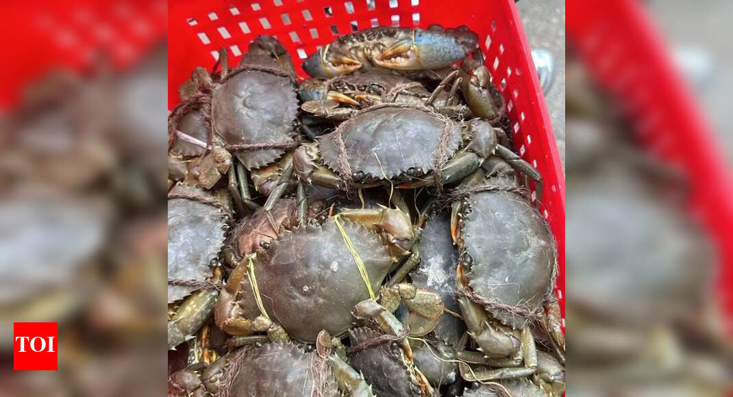 KVK Develops Crab Farming App for Odisha Farmers