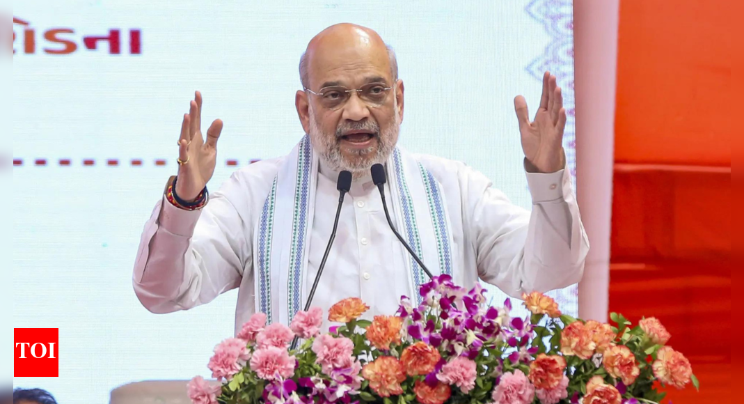 संघ के आंतरिक मामलों के मंत्री अमित शाह ने भारत पोर्टल के एक अद्यतन विदेशी नागरिक को लॉन्च किया भारत समाचार