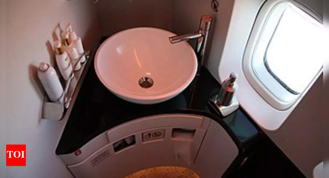 Air India Flight Toilets: How They Work and Why They Fail