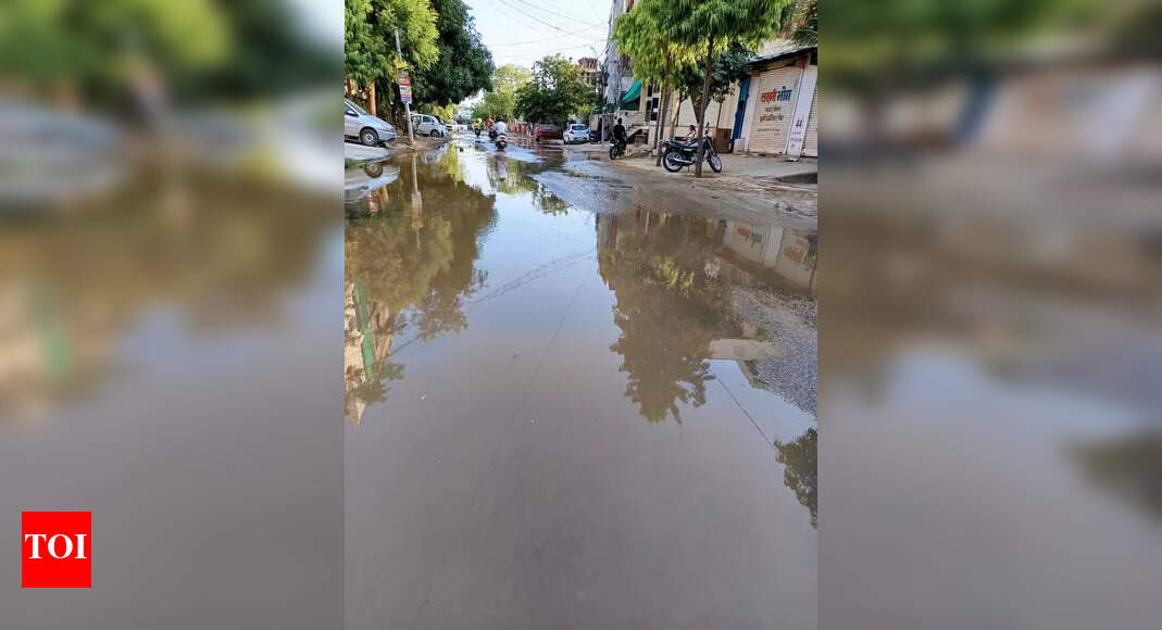 Sanganer Residents Decry Road Conditions, Demand Action