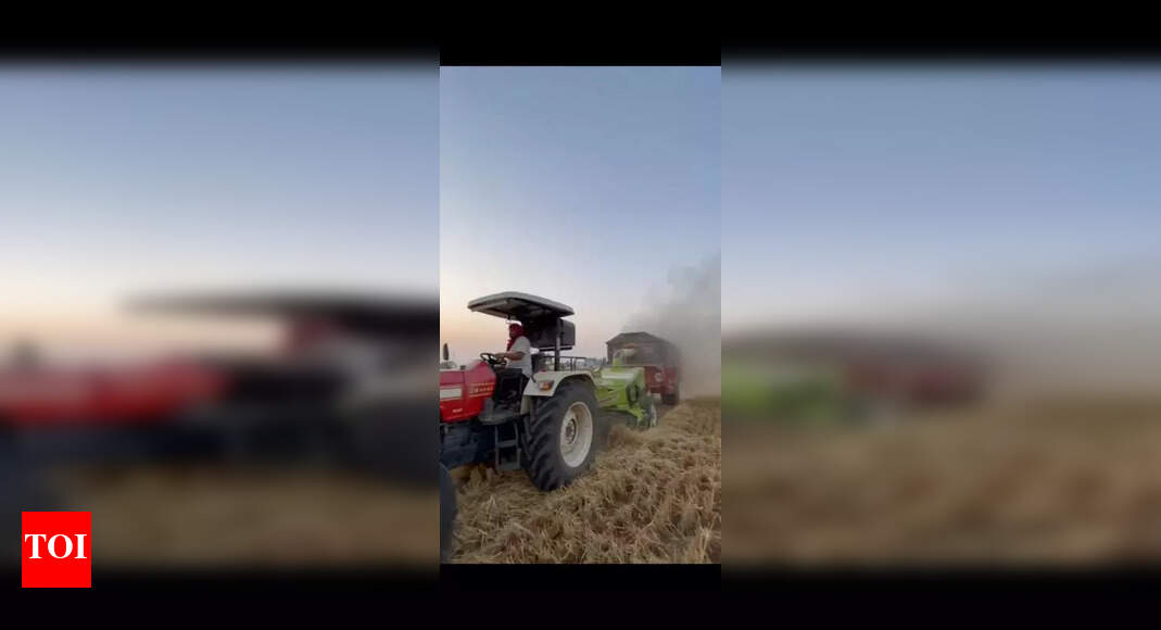 Punjab Farmers Struggle as Wheat Straw (Toori) Market Collapses