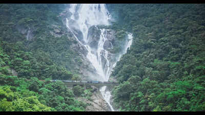 Man slips into Dudhsagar falls while clicking photo