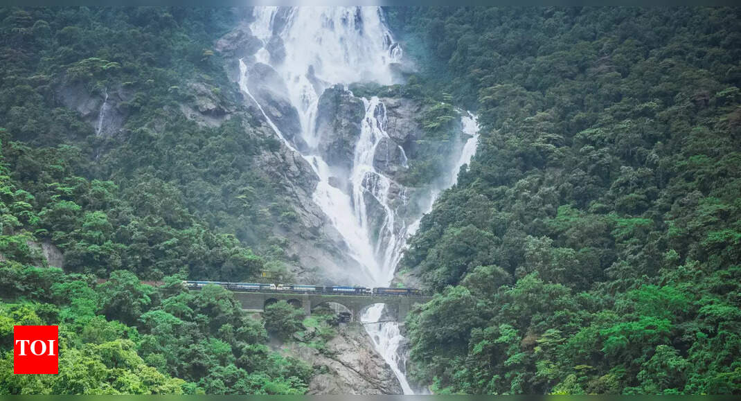 Tourist Falls into Dudhsagar Falls While Taking Photos