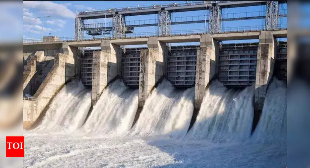 Lahaul-Spiti Locals to Protest Hydel Projects on May 23