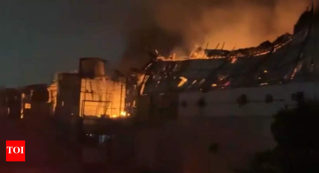 Fire Destroys Shops at Delhi Stone Market, No Injuries Reported