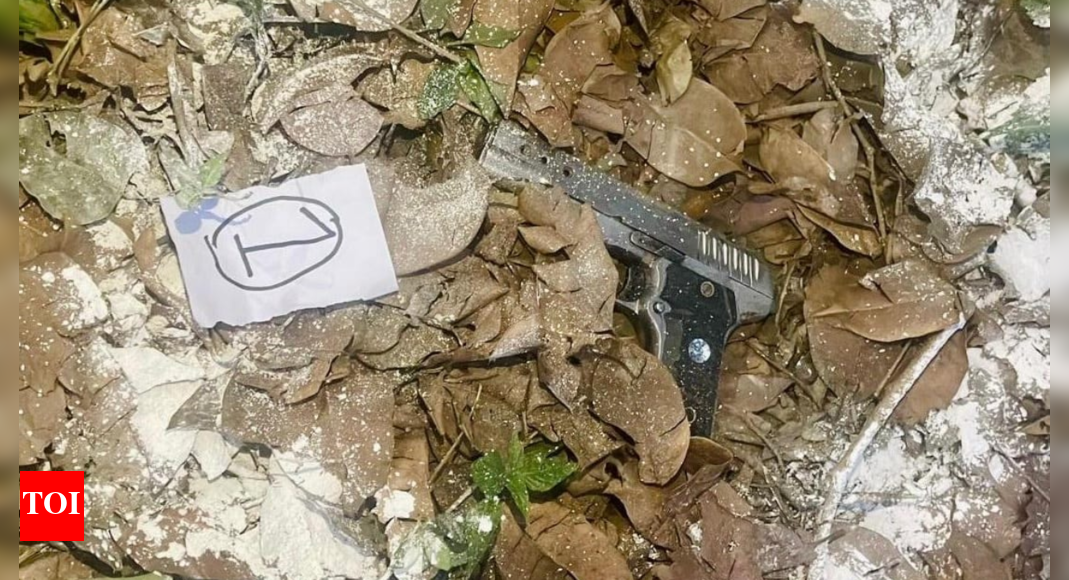 'Operated by foreign-based handlers': Pak-backed terror module busted in Punjab